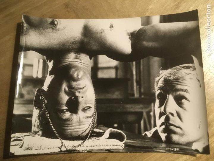 Cine: la leyenda del indomable cool hand luke paul newman foto original estreno