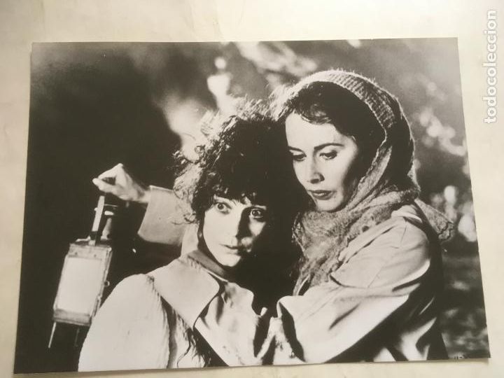 Cine: dracula john badham frank langella foto original estreno