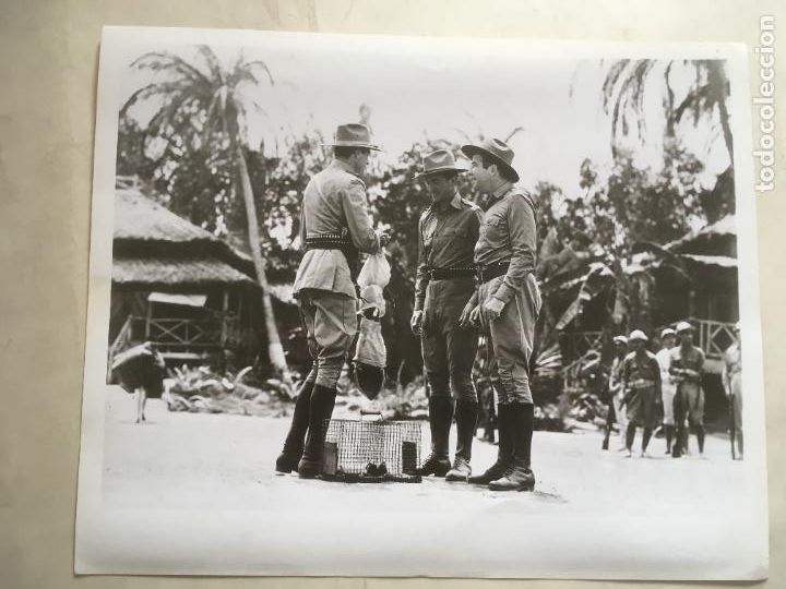 Cine: la jungla en armas gary cooper david niven foto original reposicion a&ntilde;os 60