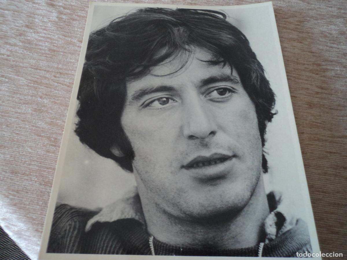 Cine: FICHA CACITEL N&ordm; 65 AL PACINO, 26 X 20 CM