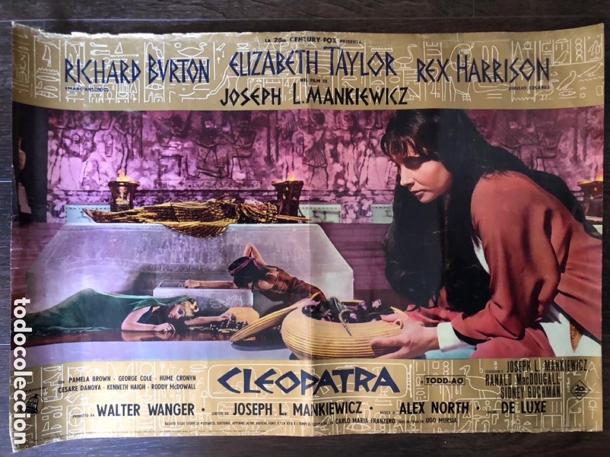 Cine: Fotocromo italiano cleopatra elizabeth taylor Mankiewicz 46 x 67 cm
