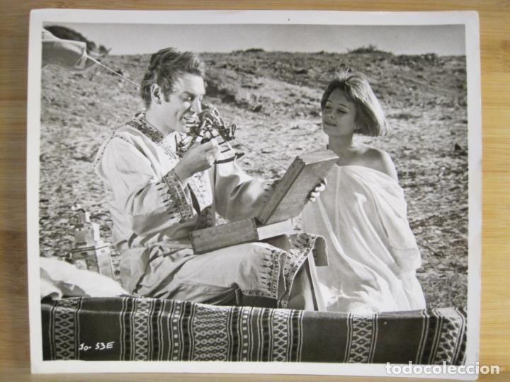 Cine: DONALD SUTHERLAND & GENEVIEVE WAITE-JOANNA-FOTOGRAFIA DE CINE-VER FOTOS-(V-24.264)