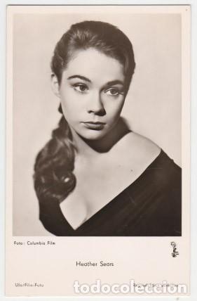 HEATHER SEARS