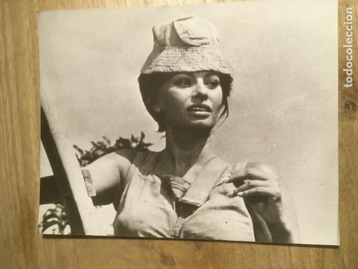 Cine: judith la venus de la ira sofia loren peter finch foto espa&ntilde;ola original estreno