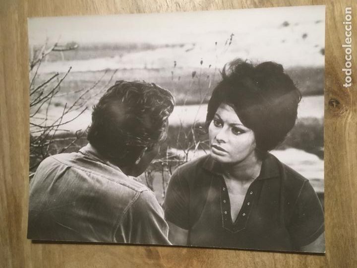 Cine: judith la venus de la ira sofia loren peter finch foto espa&ntilde;ola original estreno