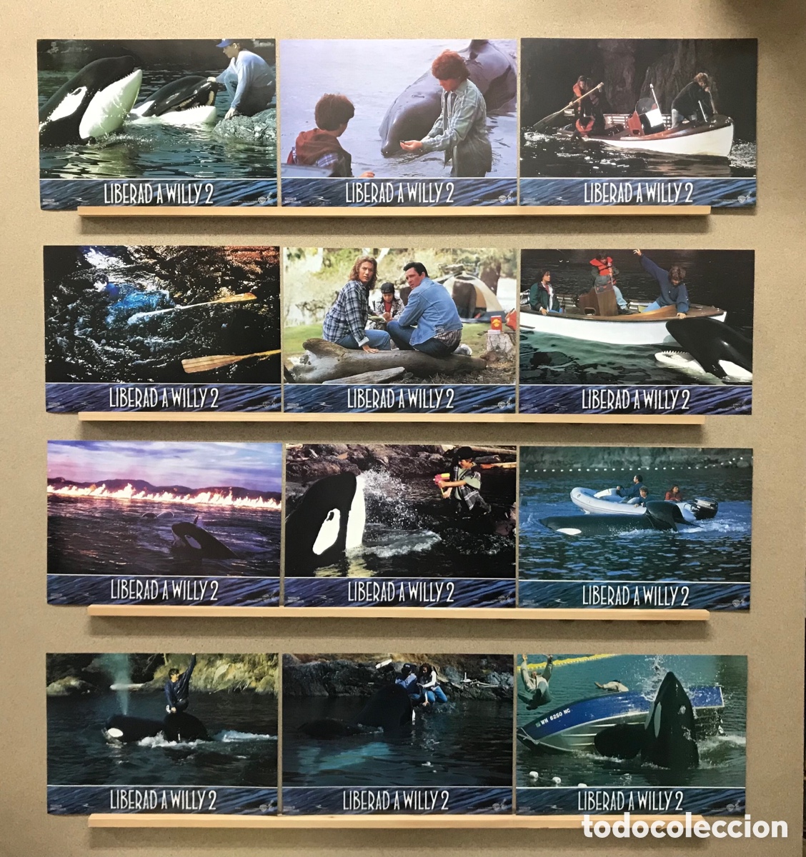 Kino: LIBERAD A WILLY 2, JASON JAMES RICHTER, AUGUST SCHELLENBERG - SET COMPLETO 12 FOTOCROMOS