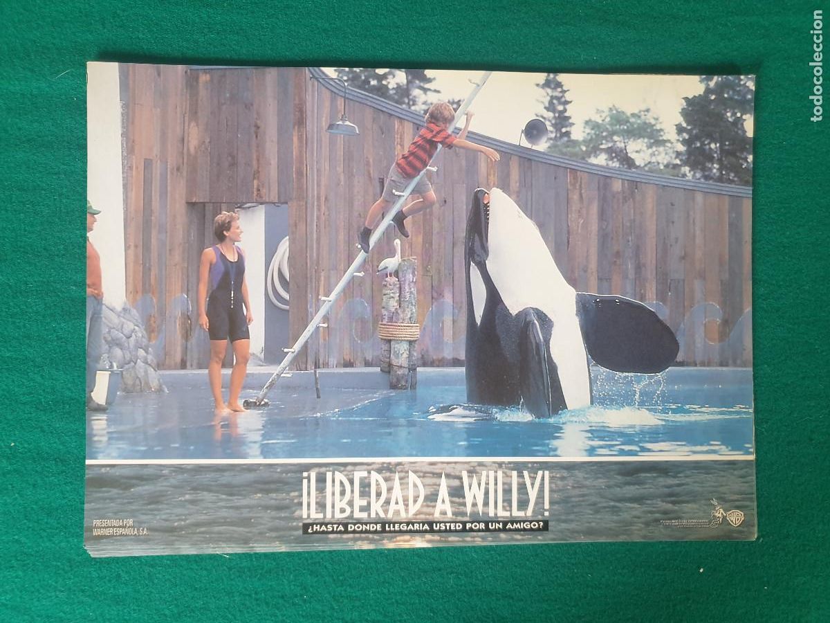 Cinema: LIVERAD A WILLY FOTOCROMOS