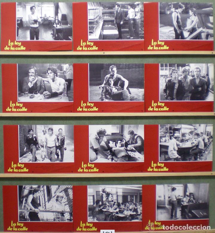 Cinema: SCDO 797 LA LEY DE LA CALLE rumble fish MATT DILLON COPPOLA ROURKE SET 12 FOTOCROMOS ORIG ESTRENO