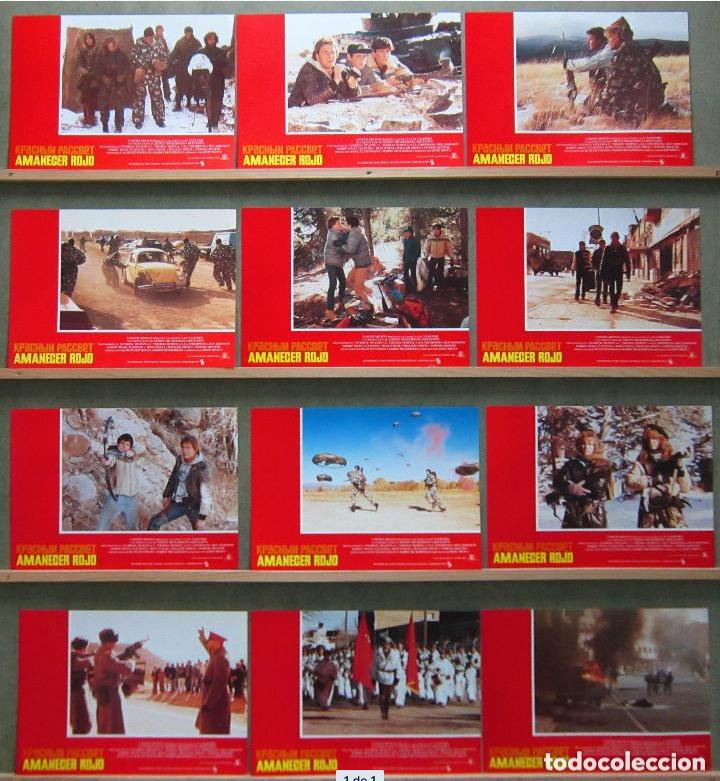 Cine: SCDO 876 AMANECER ROJO PATRICK SWAYZE CHARLIE SHEEN SET COMPLETO 12 FOTOCROMOS ORIGINAL ESTRENO