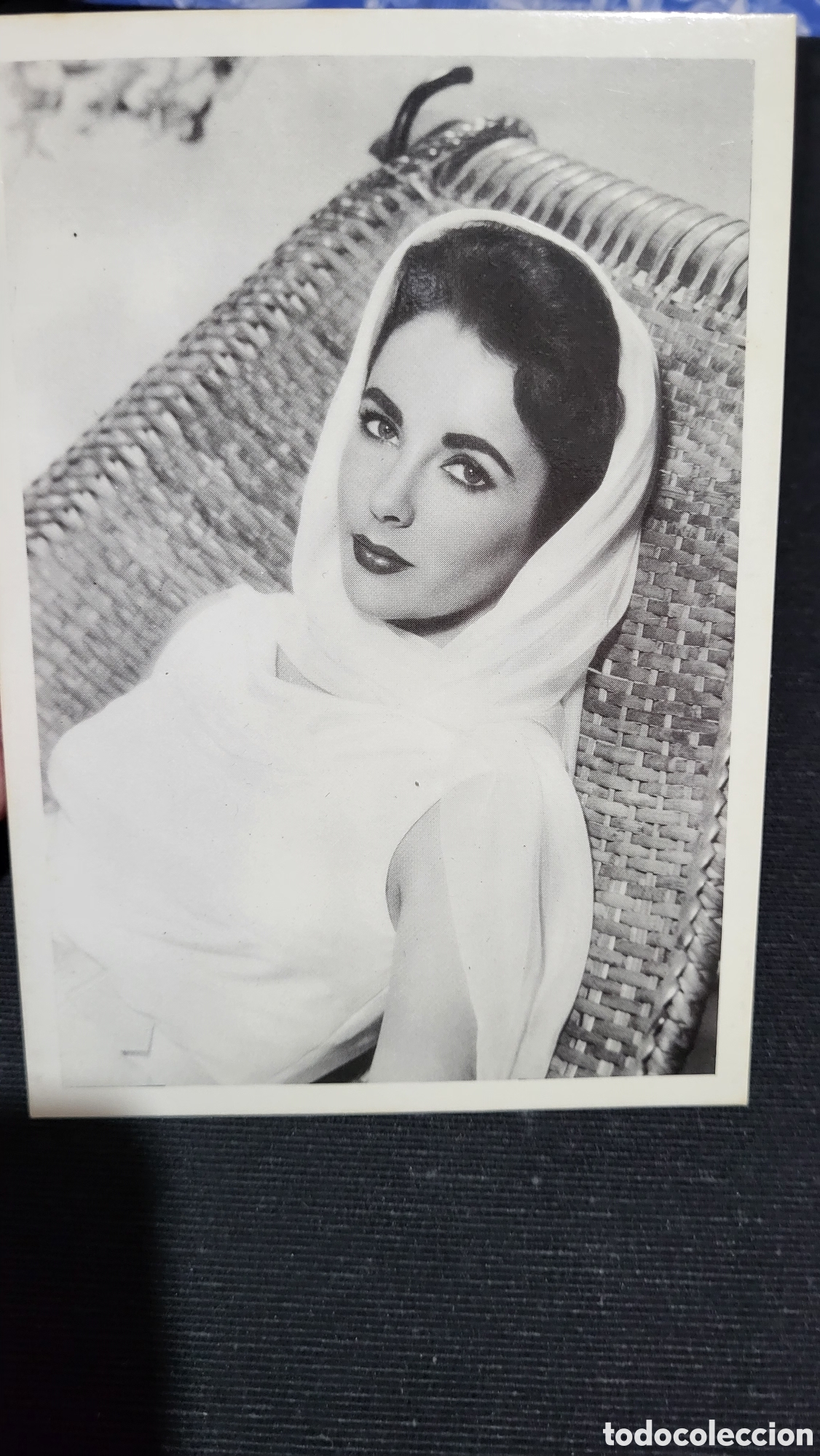Cine: Tarjeta Postal Elizabeth Taylor
