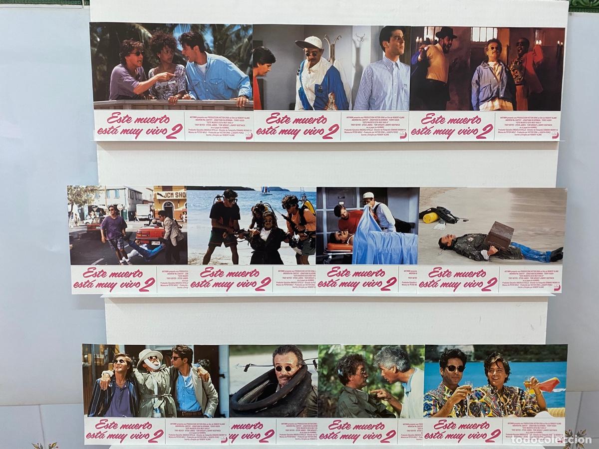 Cinema: ESTE MUERTO EST&Aacute; MUY VIVO 2. Andrew McCarthy, Jonathan Silverman, Catherine.11 FOTOCROMOS ORIGINALES