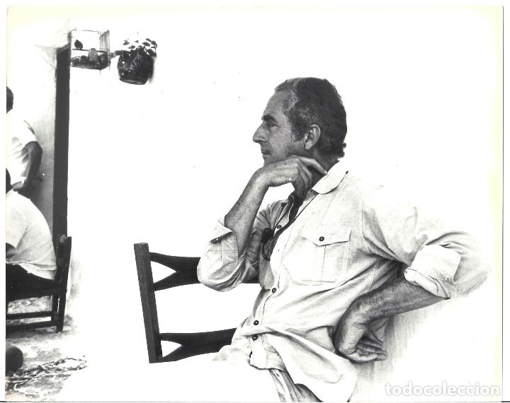 Cin&eacute;ma: F34281 MICHELANGELO ANTONIONI DIRECTOR FOTO B/N ORIGINAL