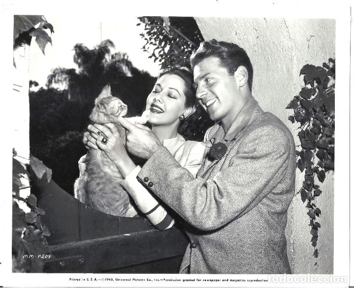 Cine: F34278 MARIA MONTEZ JEAN-PIERRE AUMONT CON GATO FOTO B/N ORIGINAL AMERICANA