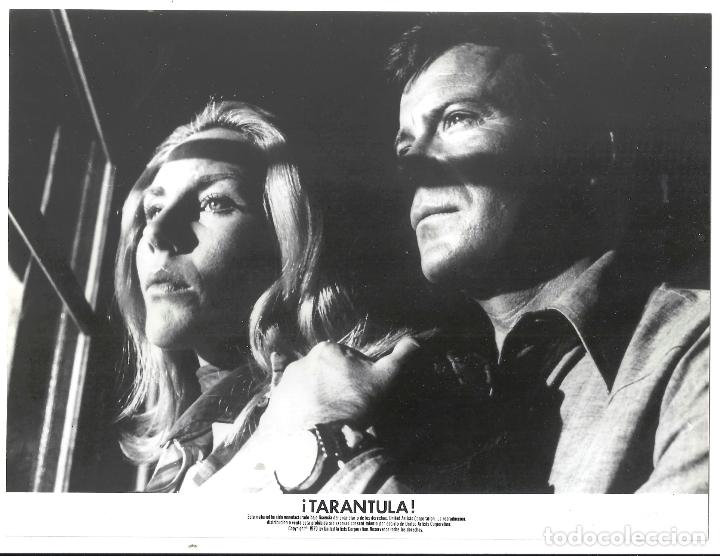 Cin&eacute;ma: F34317 WILLIAM SHATNER TIFFANY BOLLING TARANTULA FOTO B/N ORIGINAL ESPA&Ntilde;OLA