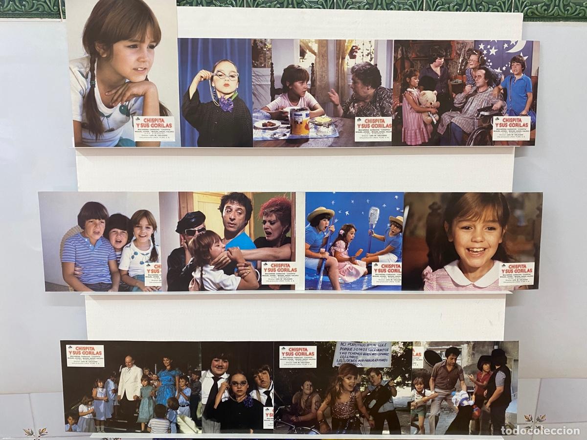 Cine: CHISPITA Y SUS GORILAS. MACARENA CAMACHO, MIGUEL JOVEN, MIGUEL ANGEL VALERO 12 FOTOCROMOS ORIGINALES