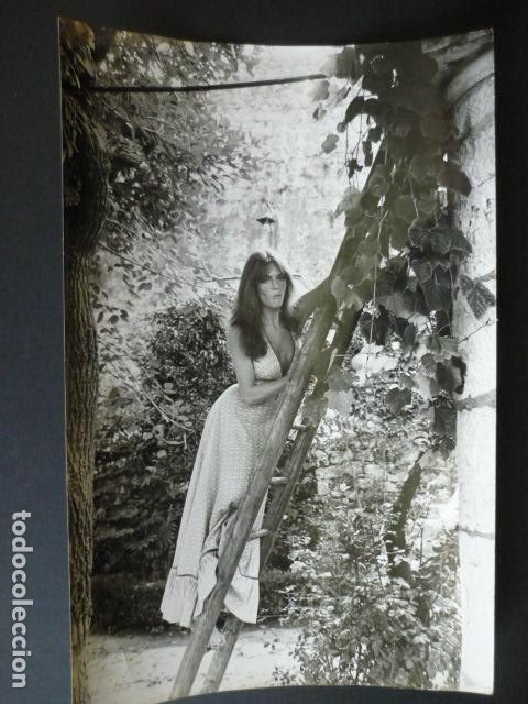 Cin&eacute;ma: JACQUELINE BISSET ACTRIZ ANTIGUA FOTOGRAFIA 20 X 30 CMTS