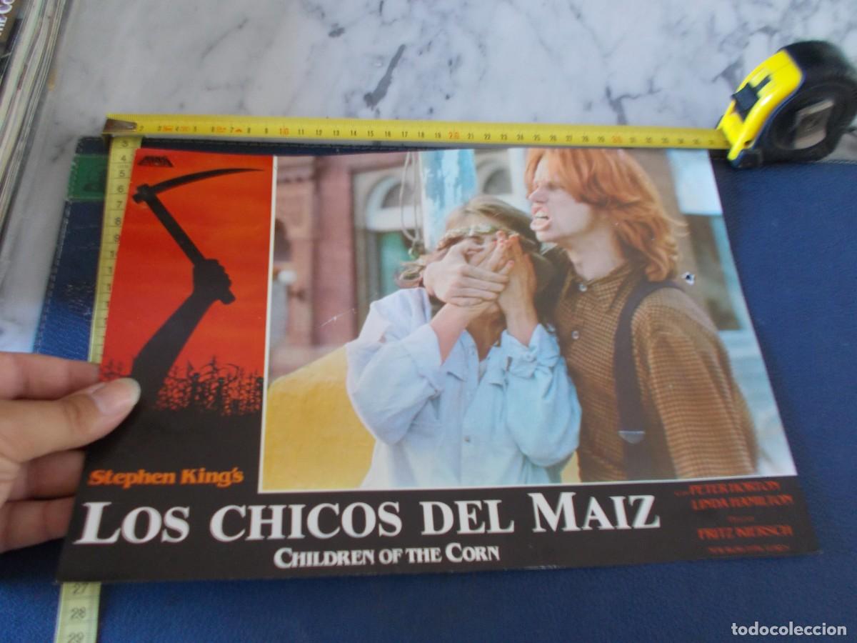 Cine: FOTOCROMO DE PELICULA ,A&Ntilde;OS 70 80 ,,LOS CHICOS DEL MAIZ STEPHEN KINGS