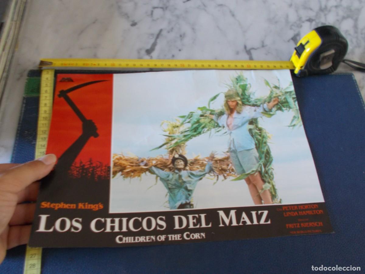 Cine: FOTOCROMO DE PELICULA ,A&Ntilde;OS 70 80 ,,LOS CHICOS DEL MAIZ STEPHEN KINGS
