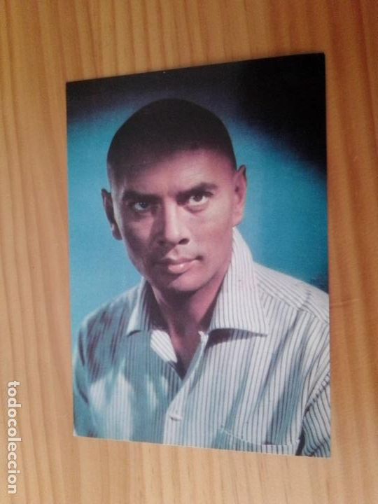 Cine: Yul Brynner. Postal de &eacute;poca
