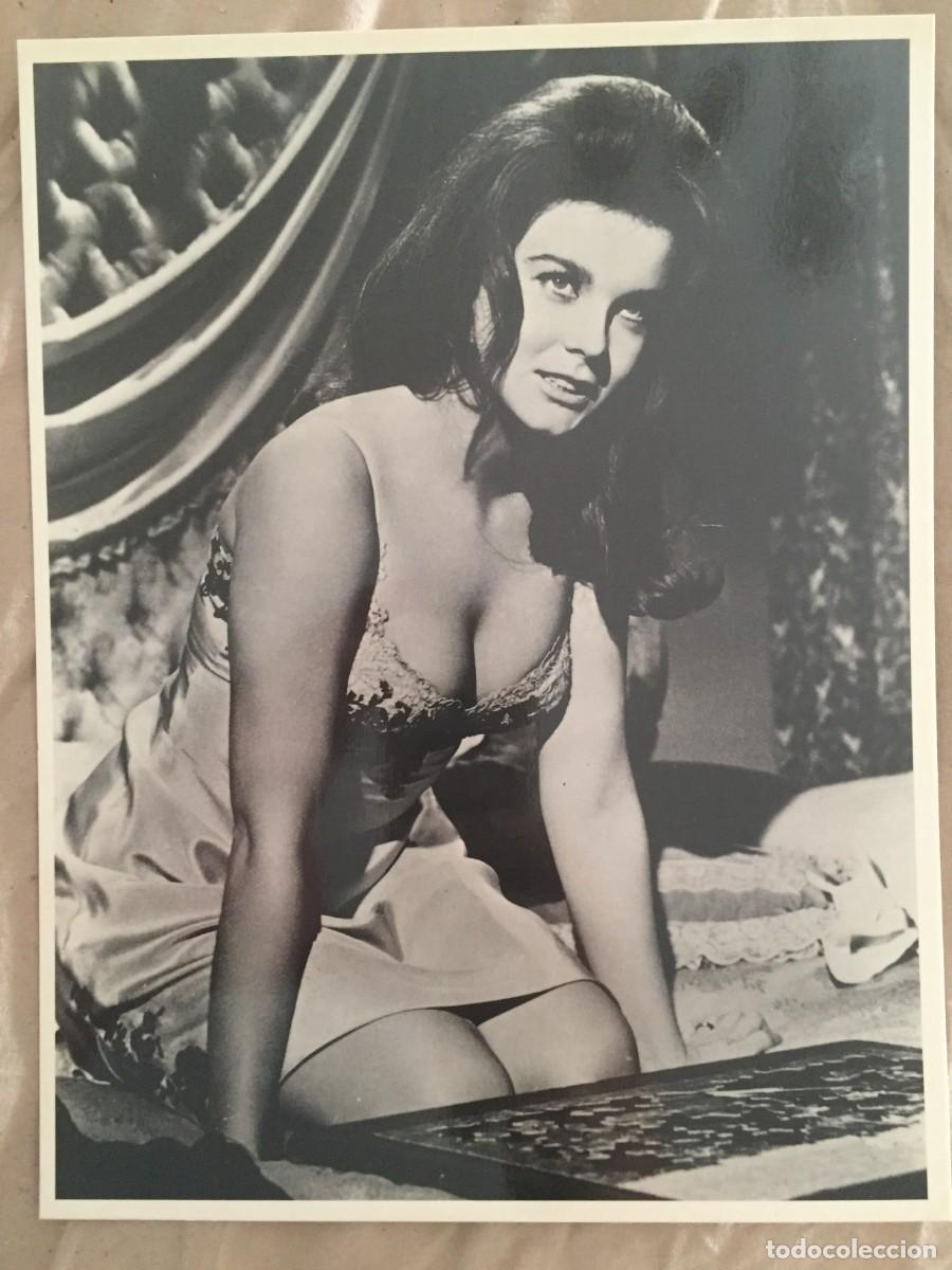 Kino: LAS FICHAS DE CACITEL ANN MARGRET FICHA NUMERO 68