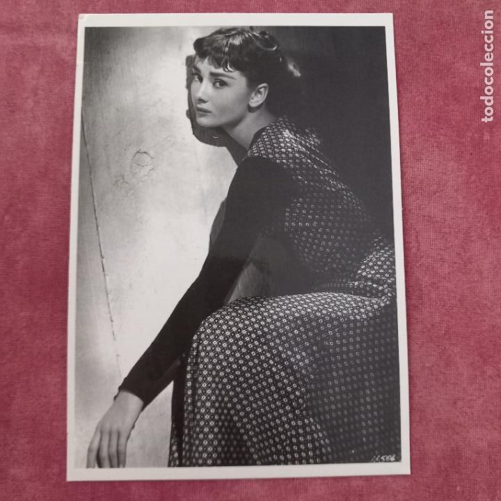 Cine: CINE , ACTRIZ Audrey Hepburn a-381 POSTAL P4
