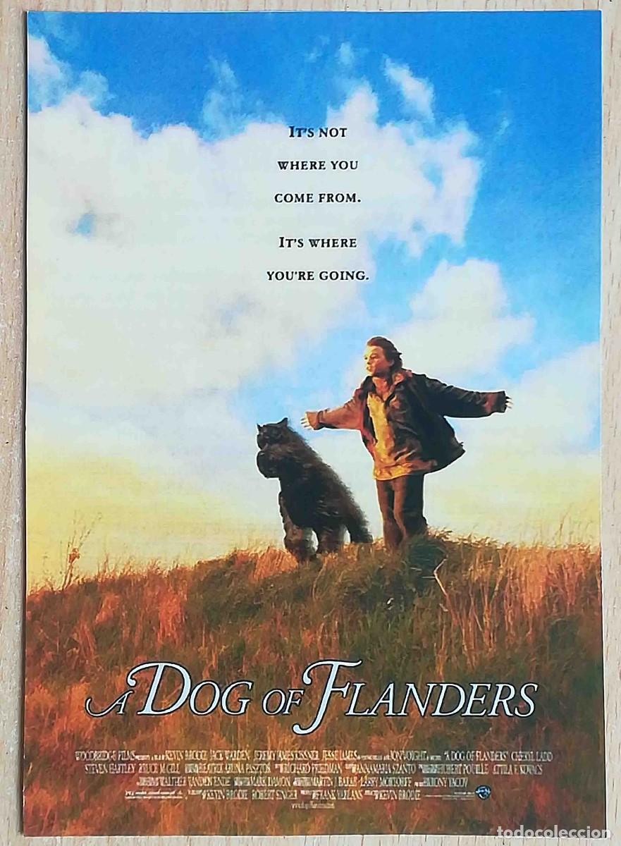 dog of flanders. kevin brodie 1999 jack warde Compra venta en