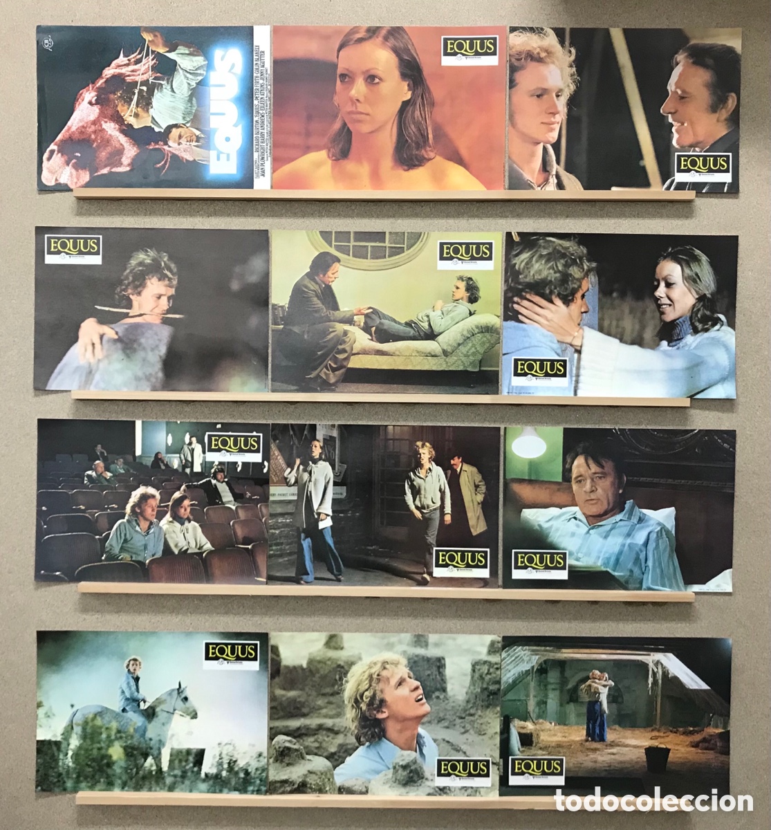 Cinema: EQUUS - RICHARD BURTON - a&ntilde;o 1977 - SET COMPLETO 12 FOTOCROMOS