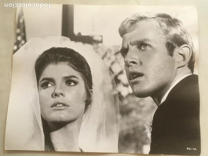 el graduado the graduate katharine ross foto or - Buy Photos ...