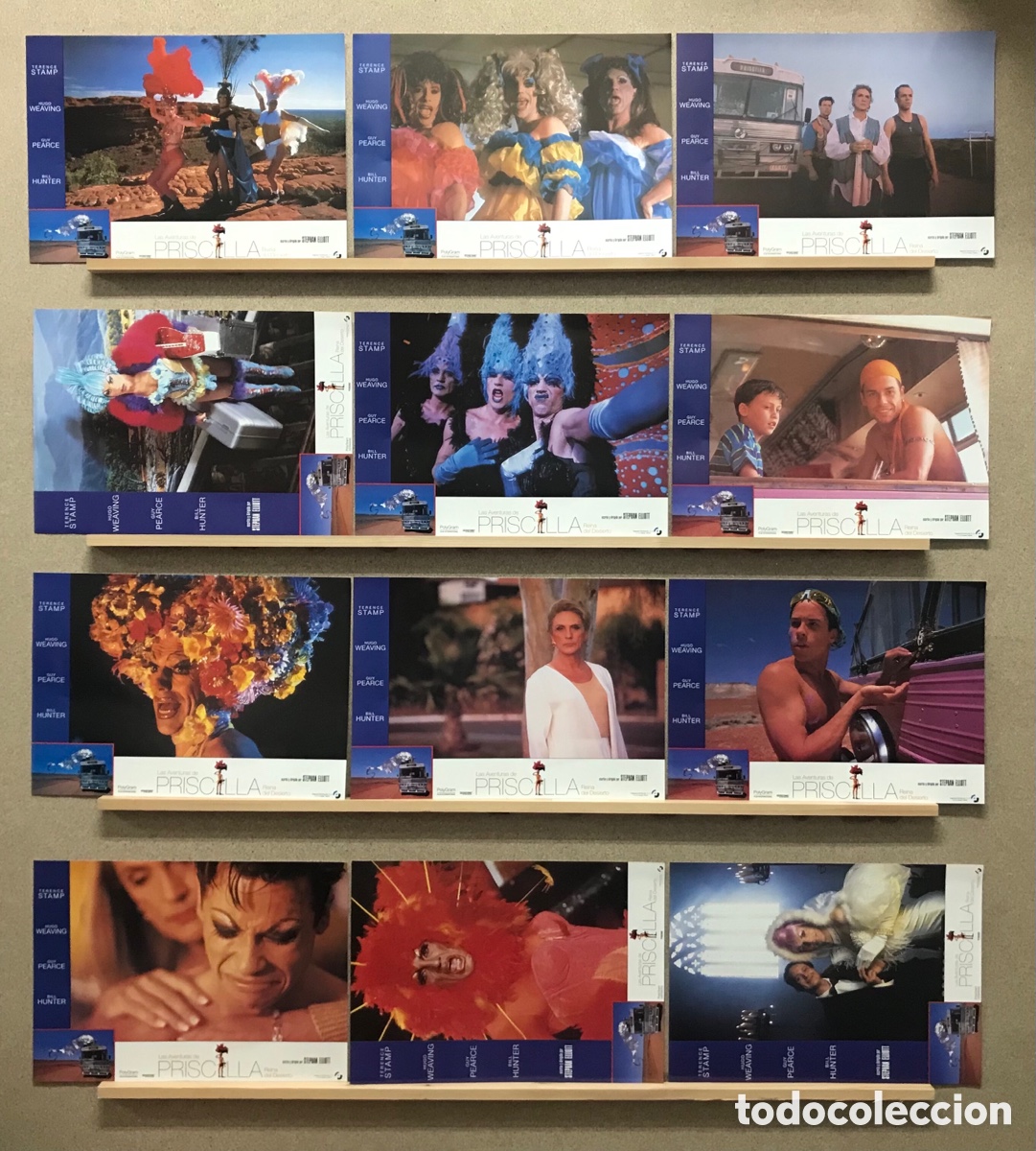 Cinema: LAS AVENTURAS DE PRISCILLA REINA DEL DESIERTO, TERENCE STAMP, GUY PEARCE, HUNTER - SET COMPLETO 12