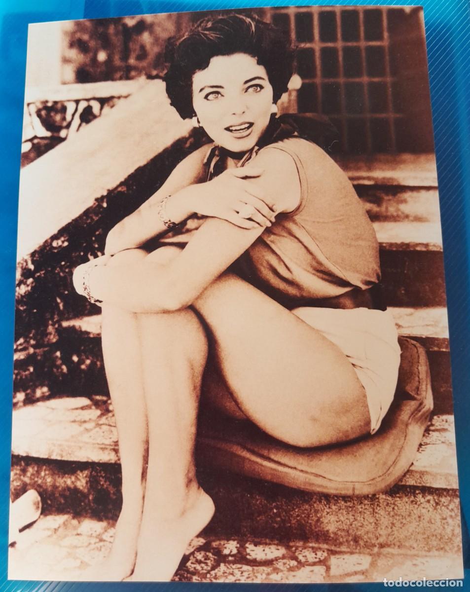 Cine: -85696 FOTOGRAFIA JOAN COLLINS, ACTRIZ, MEDIDAS 20,2CM X 15,1, KODAK
