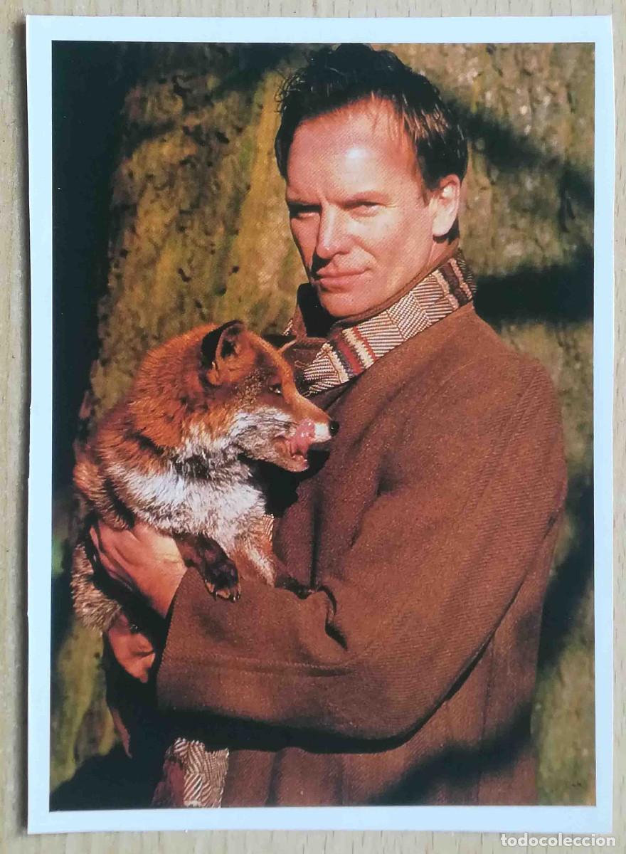 Cine: Fotograf&iacute;a de Sting (Quadrophenia. Radio On. Dune. Lunes tormentoso) Programa de mano revista acci&oacute;n