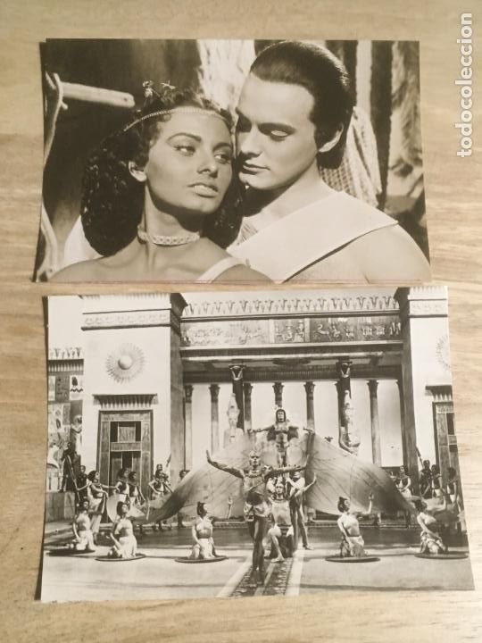 Cine: aida sofia loren 2 fotos originales antiguas