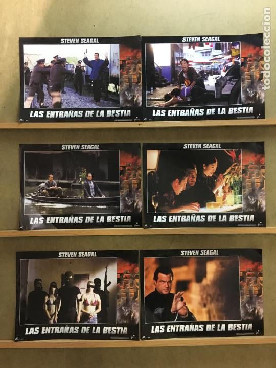Cine: QV19D LAS ENTRA&Ntilde;AS DE LA BESTIA STEVEN SEAGAL SET 6 FOTOCROMOS ORIGINAL ESTRENO