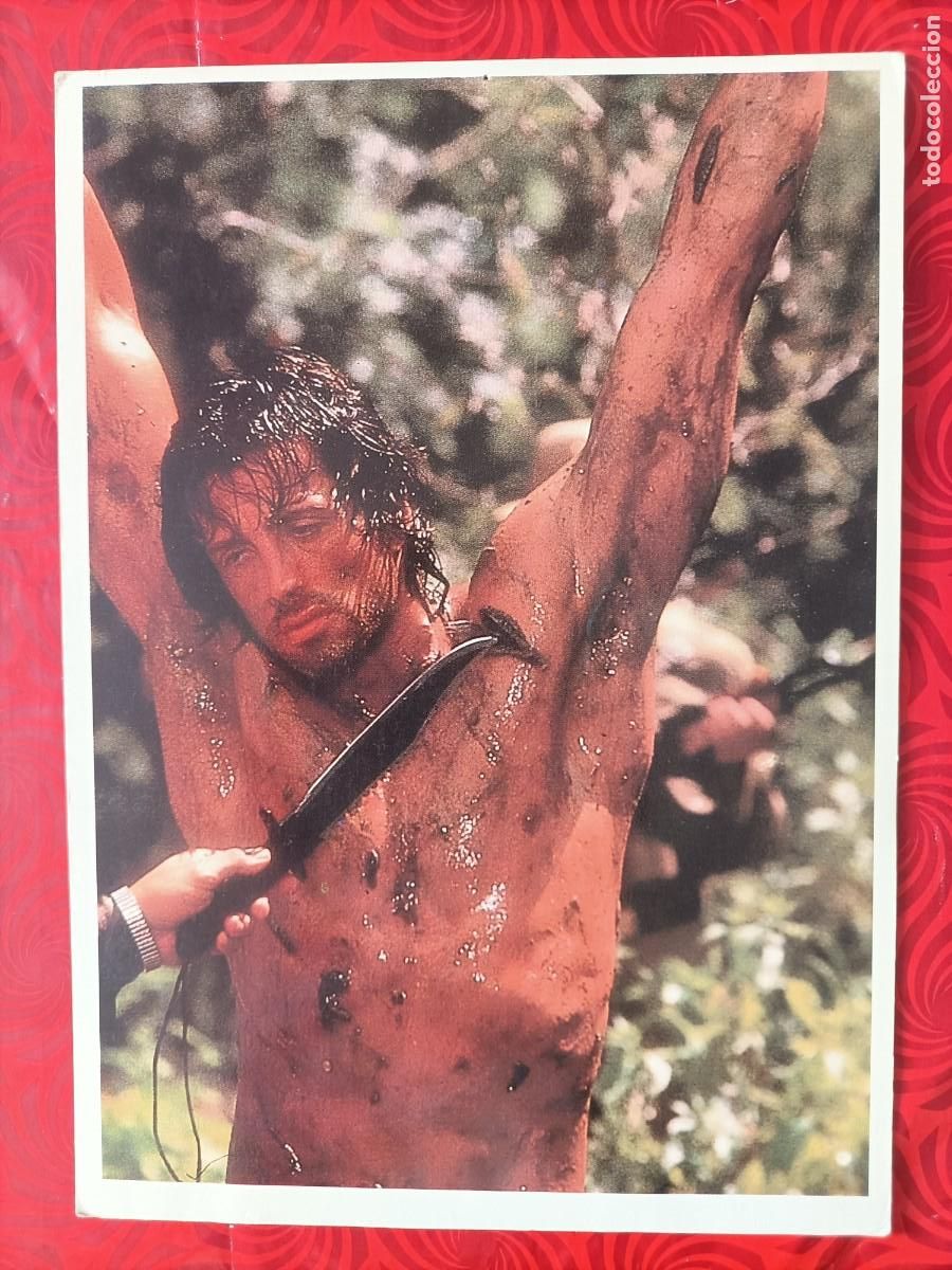 Cine: POSTAL/CARTEL. SYLVESTER STALLONE. EN LA PEL&Iacute;CULA ACORRALADO. MEDIDAS: 20X14. PERFECTO ESTADO.
