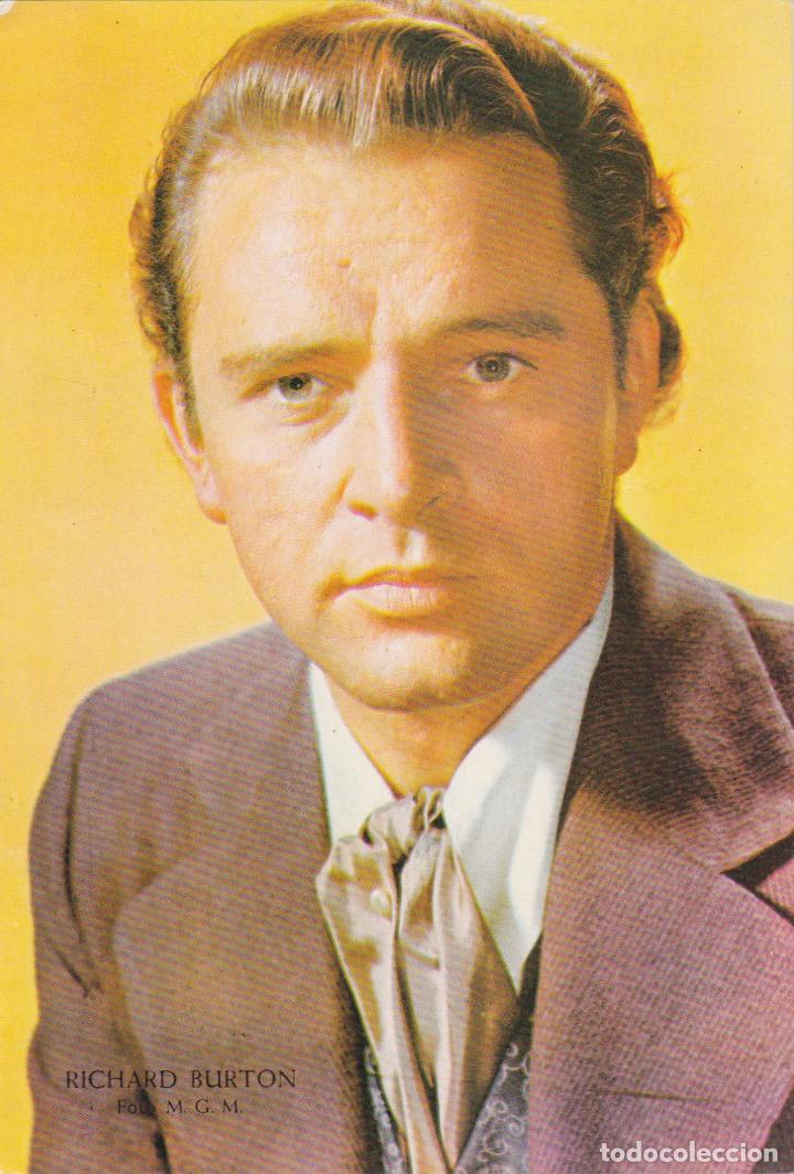 Cinema: FOTOGRAFIA DEL ACTOR RICHARD BURTON - FOTO M.G.M. - DORSO EN BLANCO