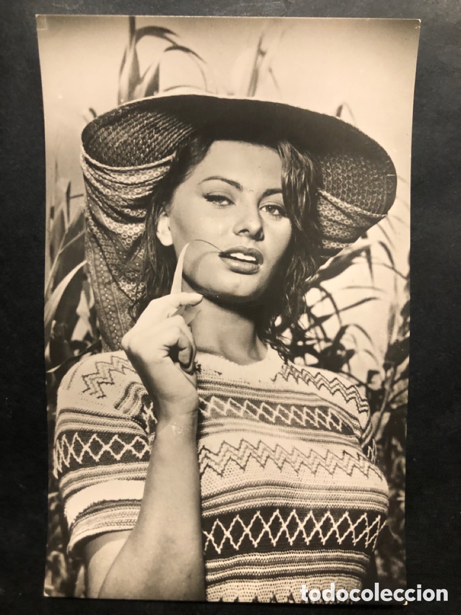 Cine: Antigua tarjeta postal de sophia sofia loren