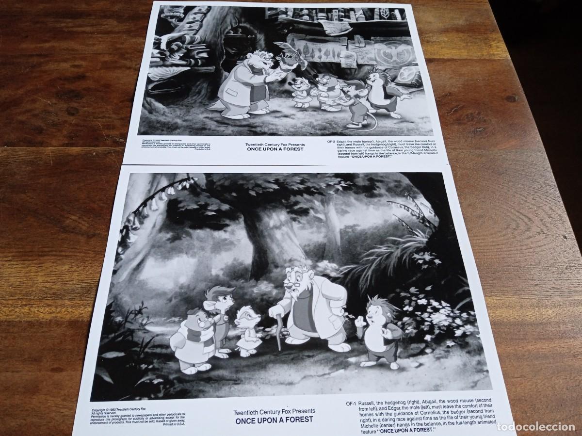 Kino: El Bosque de Colores once upon a forest - Animacion - Foto original B/N Fox 1993