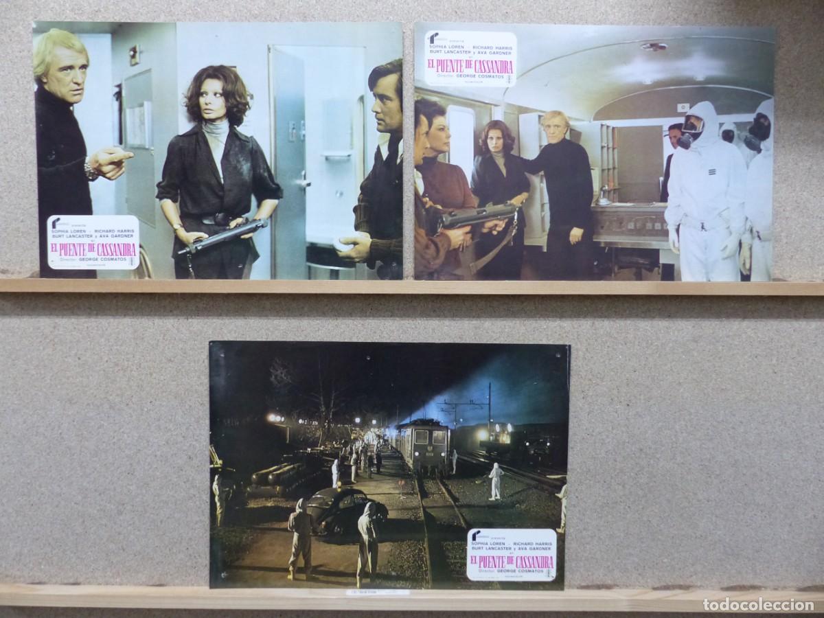 Cine: EL PUENTE DE CASSANDRA, SOPHIA LOREN, RICHARD HARRIS, AVA GARDNER - SET 3 FOTOCROMOS