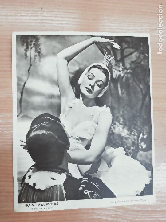 Cinema: FOTOCROMO - NO ME ABANDONES - CLARK GABLE, GENE TIERNEY - METRO GOLDWYN MAYER.