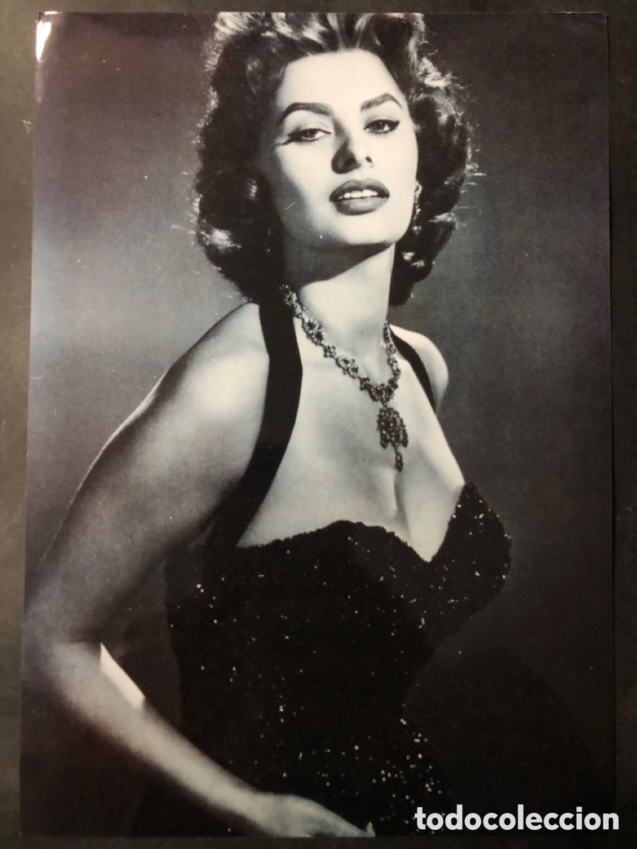 Cine: Foto 15x21 cm sofia loren