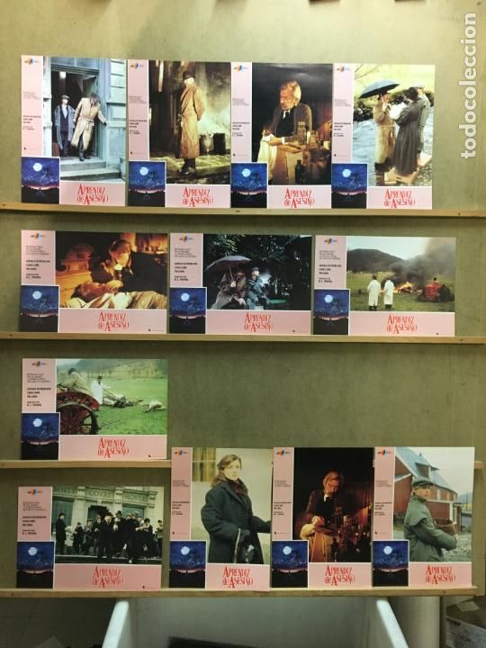 Cine: EX30D APRENDIZ DE ASESINO DONALD SUTHERLAND CHAD LOWE SET COMPLETO 12 FOTOCROMOS ORIGINAL ESTRENO
