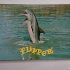 postal del delfin de la serie ¨ flipper ¨, acua - Buy Photos ...