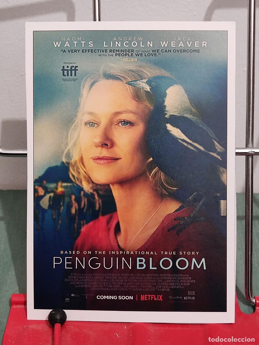 Cinema: La familia Bloom (Penguin bloom) . Ficha revista Accion cine