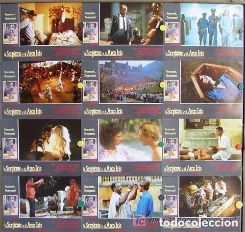 Cinema: SCDO 1100 LA SERPIENTE Y EL ARCO IRIS WES CRAVEN TERROR SET COMPLETO 12 FOTOCROMOS ORIGINAL ESTRENO