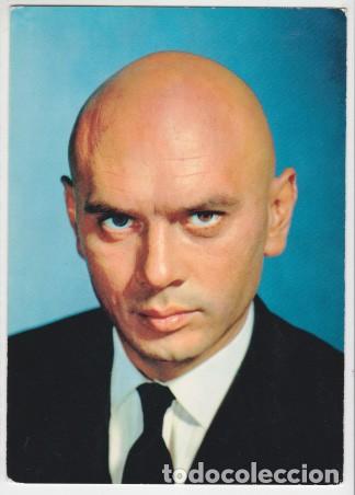 Cinema: YUL BRYNNER