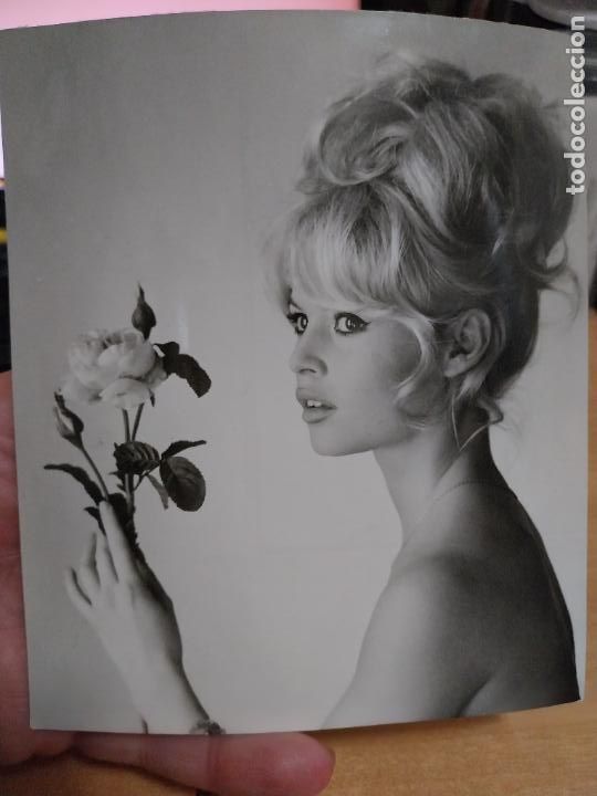Cine: BRIGITTE BARDOT 1963 FOTO AGENCIA SELLOS DORSO 15.5 X 13CM ORIGINAL ROSA