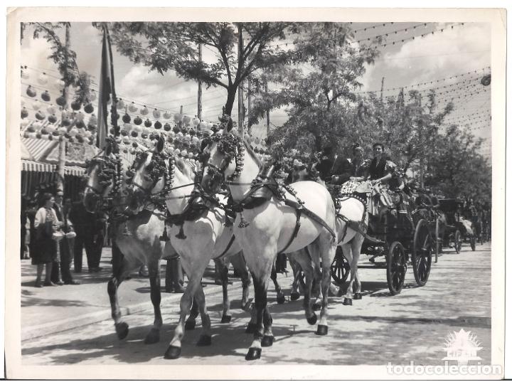 Kino: FJC 0285 SUCEDIO EN SEVILLA FERIA DE SEVILLA FOTO B/N ORIGINAL ESPA&Ntilde;OLA
