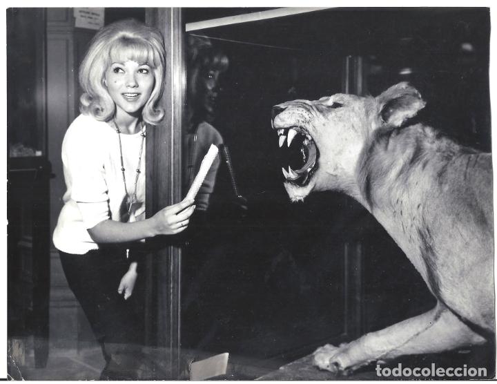 Cin&eacute;ma: FJC 0310 MARIA SILVA FOTO B/N ORIGINAL ESPA&Ntilde;OLA FOTOGRAFO WAGNER