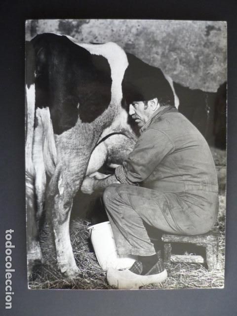 Cinema: PELICULA ACTOR ANTONIO FERRANDIS AMBIENTADA EN EL NORTE DE ESPA&Ntilde;A FOTOGRAFIA 18 X 24 CMTS