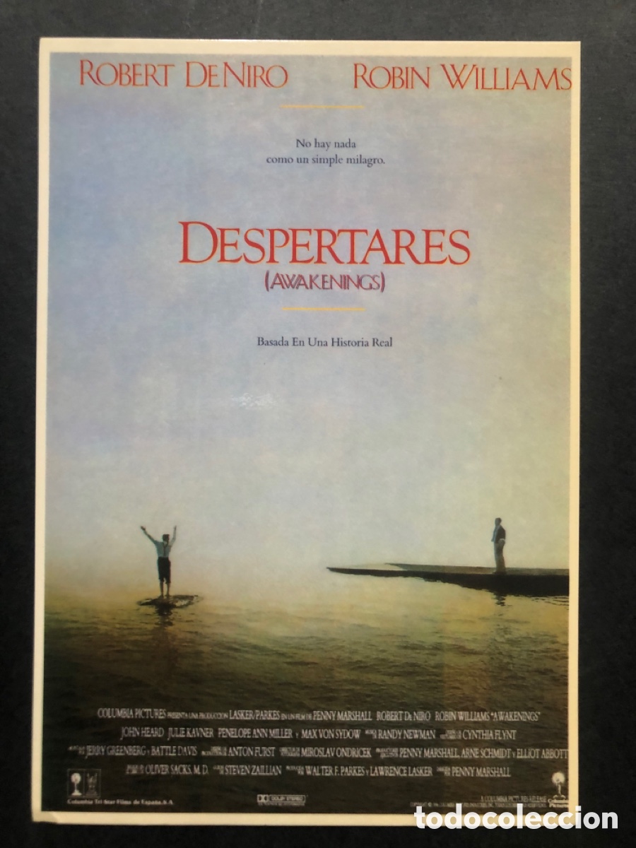 Cine: Tarjeta postal Robert de Niro despertares